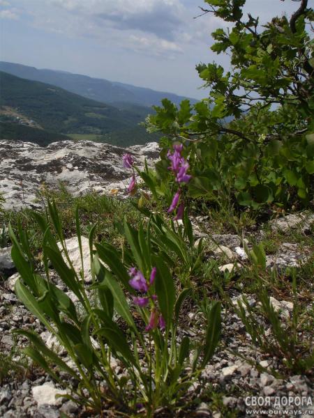 DSC07483-1.jpg