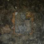 DSC07518-1.jpg