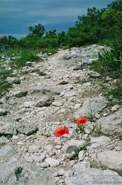 19970028.JPG