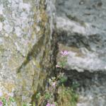 19980036-1.jpg