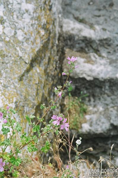 19980036-1.jpg