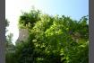DSC06989-1.jpg