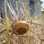 DSC07227-1.jpg