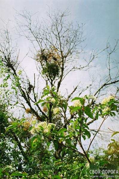 19990022-1.jpg