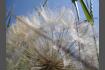 DSC06978-1.jpg