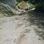 19970172.jpg