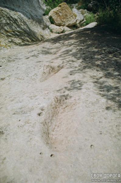 19970172.jpg
