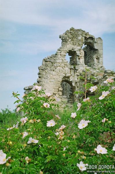 19990014.jpg