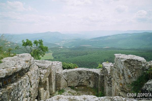 19980029.jpg