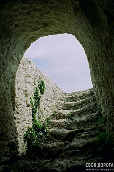19990019.jpg