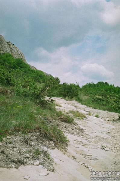 19970169.jpg