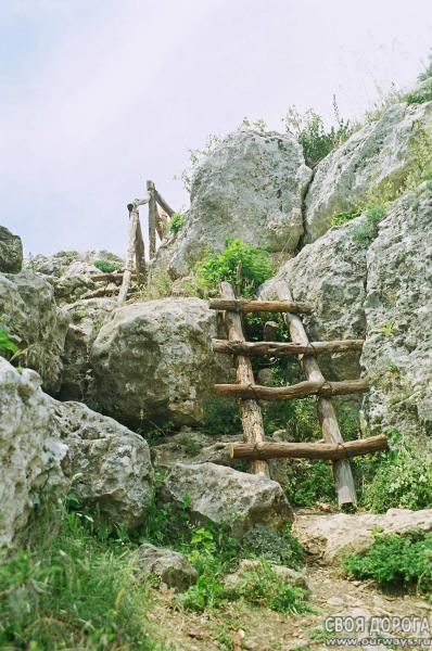 19980001.jpg