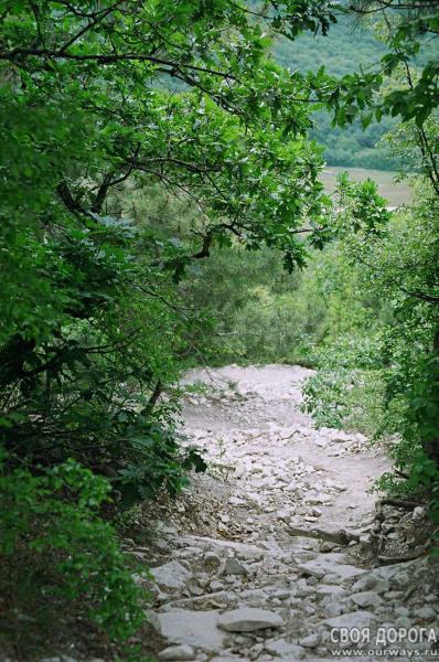 19970167.jpg