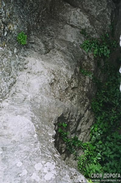 19980013.jpg