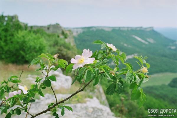 19990020.JPG