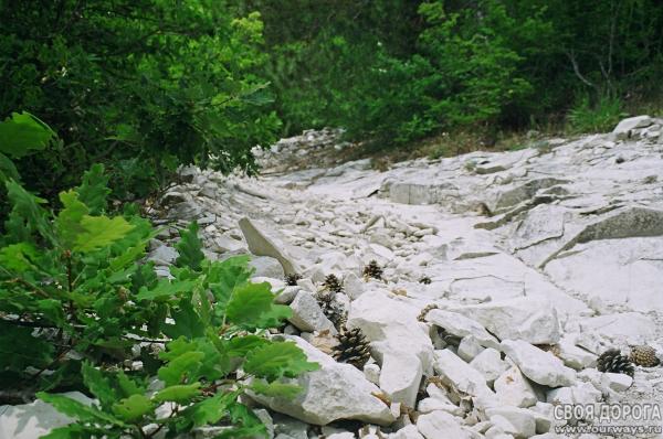 19970166.JPG