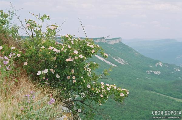19980015.JPG