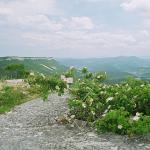 19980028.JPG