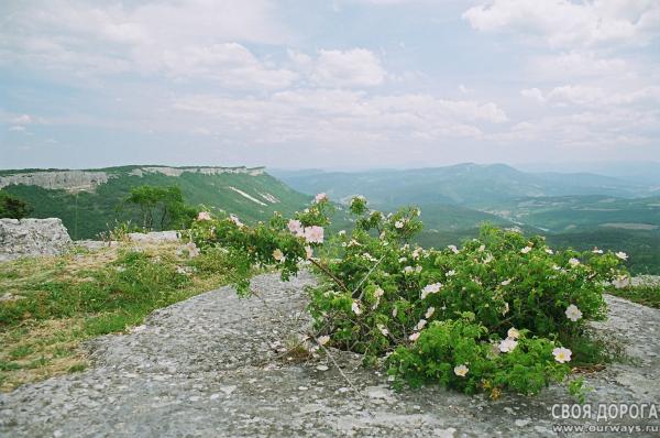 19980028.JPG