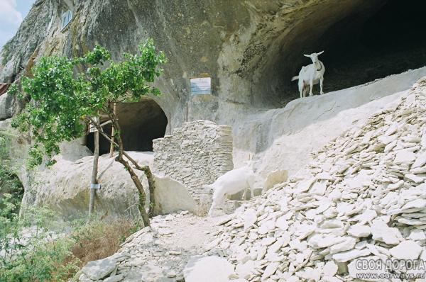 19970170.JPG