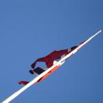 DSC02039.jpg