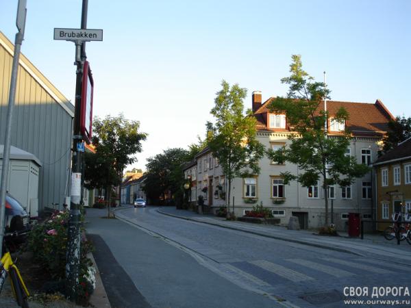 DSC02050.jpg