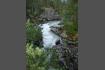 DSC02338.jpg