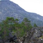 DSC02340.jpg