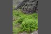 DSC02268.jpg