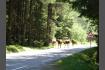 DSC02215.jpg