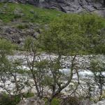DSC02241.jpg