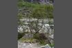 DSC02241.jpg