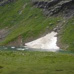 DSC02309.jpg