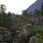 DSC02339.jpg
