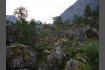 DSC02339.jpg
