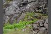 DSC02272.jpg