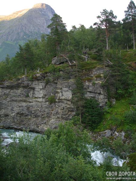 DSC02335.jpg