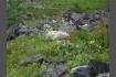 DSC02257.jpg