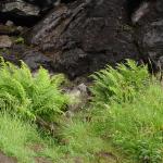DSC02276.jpg