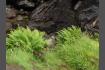 DSC02276.jpg