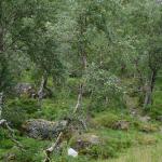 DSC02239.jpg