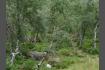 DSC02239.jpg