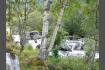 DSC02222.jpg