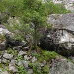 DSC02243.jpg