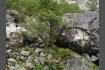 DSC02243.jpg
