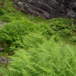 DSC02269.jpg