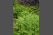 DSC02269.jpg
