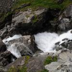 DSC02245.jpg