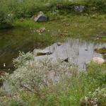 DSC02324.jpg