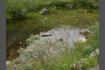 DSC02324.jpg